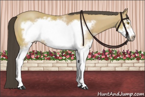 Horse Color:White Spotted Buckskin Frame 