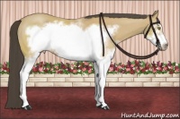 Horse Color:White Spotted Buckskin Frame