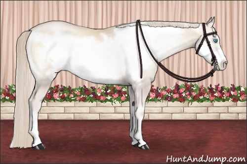 Horse Color:Palomino Pearl Onyx Mushroom Frame