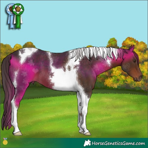 Horse Color:Liver Chestnut Tobiano 
