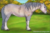 Horse Color:Watercolor Brown Ice Onyx Sabino 