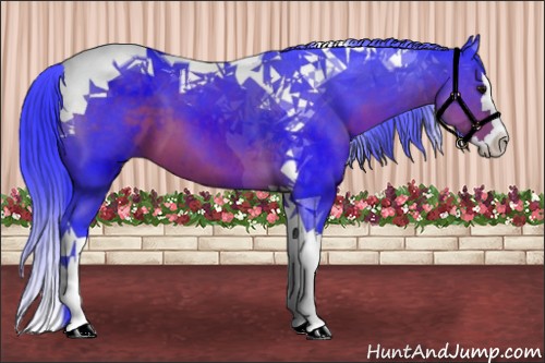 Horse Color:Watercolor Brown Splash Tobiano 
