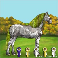 Horse Color:Painted Chocolate Classic Champagne Ice Onyx Splash Tobiano 