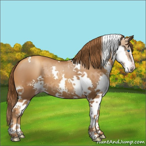Horse Color:Gray Gold Champagne Splash Tobiano 