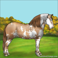 Horse Color:Gray Gold Champagne Splash Tobiano 