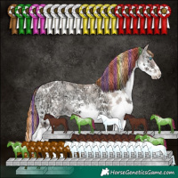 Horse Color:Painted White Spotted Chocolate Classic Champagne Ice Pearl Onyx Sabino Splash 