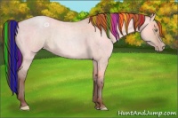 Horse Color:Painted Sable Champagne Roan Dun Rabicano 