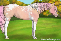 Horse Color:Gray Watercolor Classic Champagne Tobiano Rabicano 