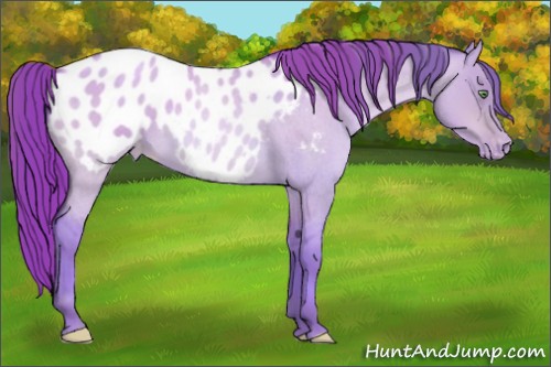 Horse Color:Watercolor Sable Champagne Roan Dun Blanket Rabicano
