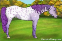 Horse Color:Watercolor Sable Champagne Roan Dun Blanket Rabicano