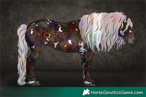 Horse Color:Nacre White Spotted Silver Brown Ice Sabino 