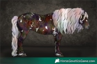 Horse Color:Nacre White Spotted Silver Brown Ice Sabino