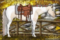 Horse Color:Chocolate Palomino Pearl Dun Tobiano