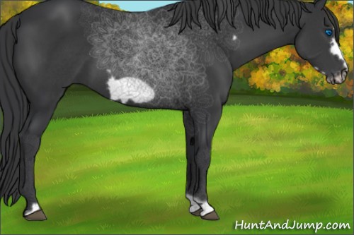 Horse Color:Black Frame 