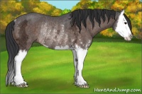 Horse Color:Brown Ice Sabino Splash Rabicano 