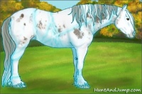 Horse Color:Thunderstruck White Spotted Chocolate Palomino Ice Sabino Splash Blanket 