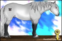 Horse Color:Silver Brown Chinchilla Sabino 