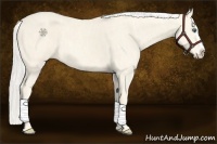 Horse Color:Cremello Splash  Brindle