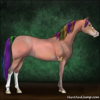 Horse Color:Painted Sable Champagne 