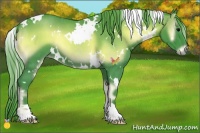 Horse Color:Watercolor White Spotted Blue Onyx