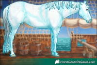 Horse Color:Thunderstruck Brown Chinchilla Sabino 