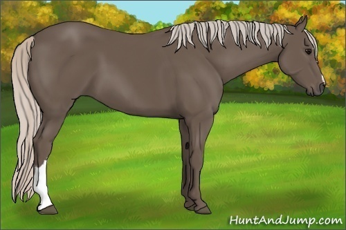 Horse Color:Silver Black 