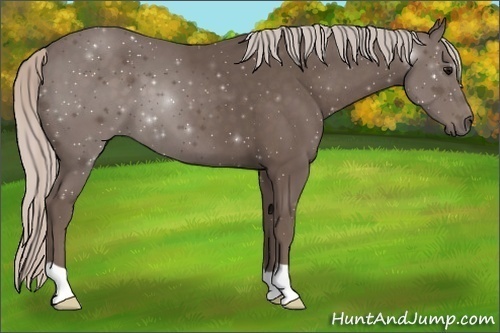 Horse Color:Silver Black 