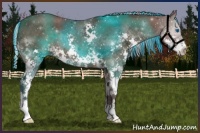Horse Color:Painted Silver Brown Splash 