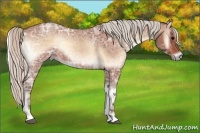 Horse Color:Silver Bay Ice Roan Onyx 