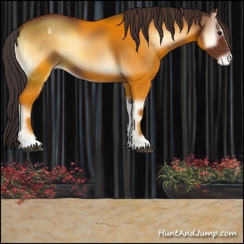 Horse Color:Bay Onyx Sabino Appaloosa 