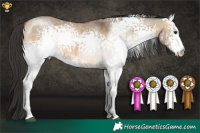 Horse Color:White Spotted Brown Dun Sabino