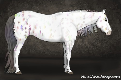 Horse Color:Nacre White Spotted Brown Ice Appaloosa 