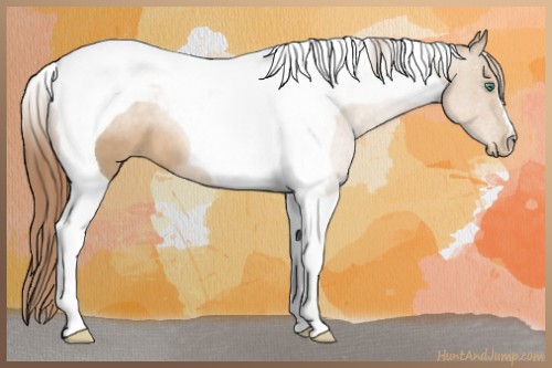 Horse Color:Smoky Black Pearl Tobiano 