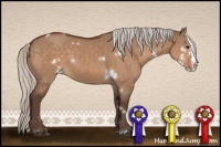 Horse Color:White Spotted Silver Brown Dun Sabino Splash