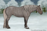 Horse Color:Silver Blue Roan Sabino 