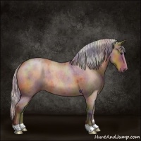 Horse Color:Nacre Silver Bay Roan 