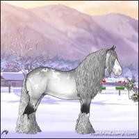 Horse Color:White Spotted Silver Brown Chinchilla Splash