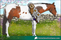 Horse Color:Brown Tobiano 