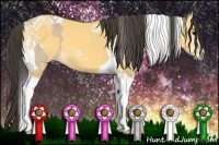 Horse Color:Silver Smoky Grullo Tobiano  and Buckskin Tobiano 