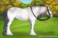 Horse Color:White Spotted Bay Sabino 