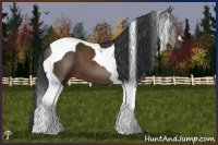 Horse Color:Brown Tobiano 