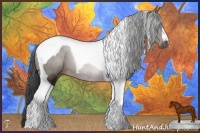 Horse Color:Brown Tobiano 