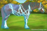 Horse Color:Thunderstruck Chestnut Rabicano 