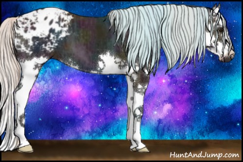 Horse Color:Midnight Silver Bay Ice Splash Varnish
