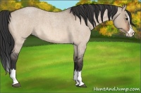 Horse Color:Bay Roan Dun Splash