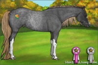 Horse Color:Liver Red Roan 