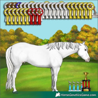 Horse Color:Liver Chestnut Mushroom Appaloosa
