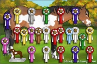 Horse Color:Brown Frame 