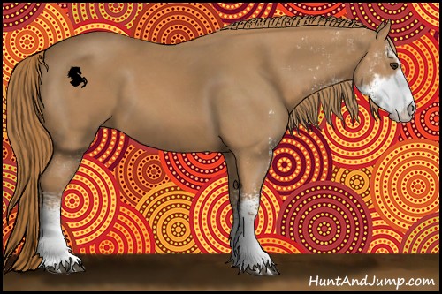 Horse Color:Chestnut Sabino