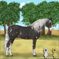 Horse Color:White Spotted Liver Chestnut Mushroom Splash 